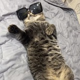 Telegram profile photo for ПЕРЕХОДНИК