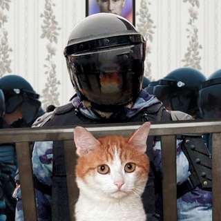 Telegram profile photo for Постклоуниальная Эпоха (ПЭ)
