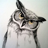 Telegram profile photo for 🦉Owl-Blog🔥 Заработок в интернете✅