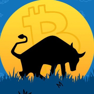 Telegram profile photo for Bulls Unleashed