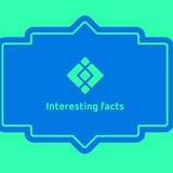 Telegram profile photo for Interesting facts