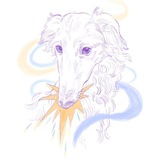 Telegram profile photo for Алампин Шрёдингера