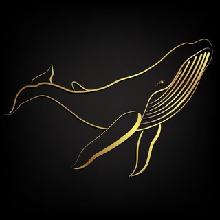 Telegram profile photo for Pump Insiders π