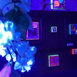 Telegram profile photo for Stamp House
