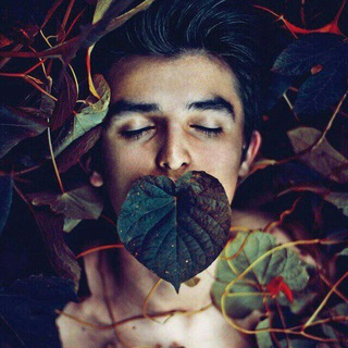Telegram profile photo for • رسانه هنری فقیه آرت •