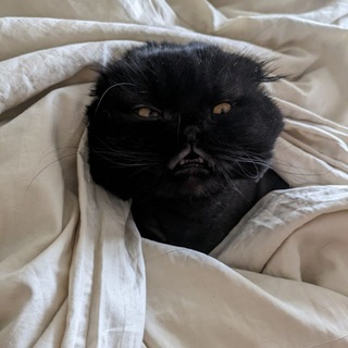 Telegram profile photo for Дом Зла