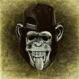 Telegram profile photo for microape Solana