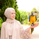 Telegram profile photo for 🇹🇷 تعلم اللغة التركية مع لينا