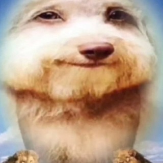 Telegram profile photo for кира кириешкина