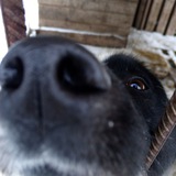 Telegram profile photo for отзывы Душмана