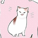 Telegram profile photo for same shame share