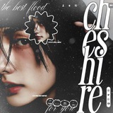 Telegram profile photo for архив cheshire