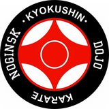 Telegram profile photo for Noginsk Dojo