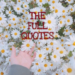 Telegram profile photo for TheFullQuotes🦋✨