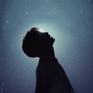 Telegram profile photo for Langit