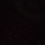 Telegram profile photo for 𝑪𝒉𝒂𝑵𝒏𝒆𝑳