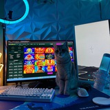 Telegram profile photo for MelBet