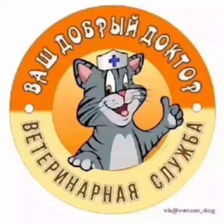 Telegram profile photo for ⚡️Советы ветеринара🐈