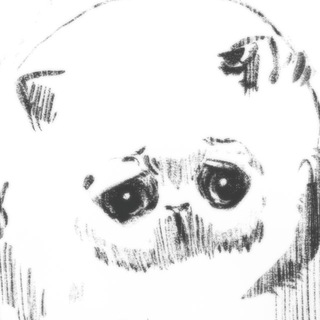 Telegram profile photo for divinespritz
