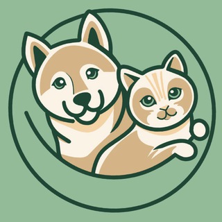 Telegram profile photo for GrooViGroom