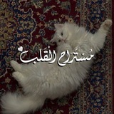 Telegram profile photo for مـستـراح الـقـلـب