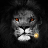 Telegram profile photo for $$$сТаВкИ пО лИнИи$$$