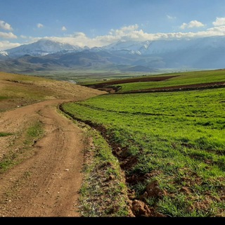 Telegram profile photo for کانال پیرکاشان