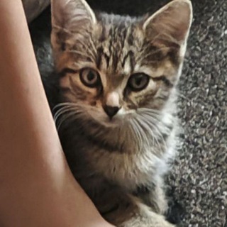 Telegram profile photo for Ванёк