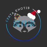 Telegram profile photo for Секта Єнотів | Тисяча осеней | Thousand autumns