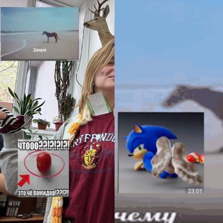 Telegram profile photo for клубника с помётом:D