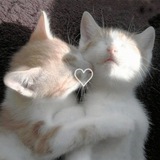 Telegram profile photo for 𓆩♡︎𓆪 парные авы | аниме