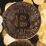 Telegram profile photo for Veltrixy