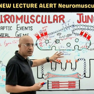 Telegram profile photo for Dr. Najeeb notes and lectures