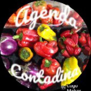 Telegram profile photo for Agenda contadina