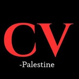 Telegram profile photo for Palestinian Cyber Vigilance