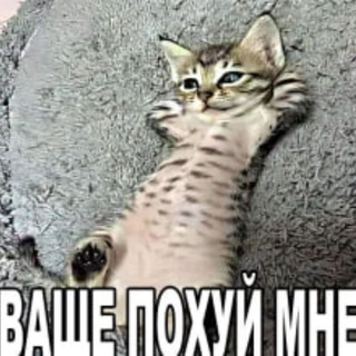 Telegram profile photo for Пьяная вишня