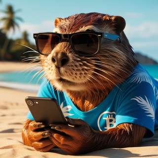 Telegram profile photo for Crypto Bober