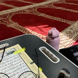 Telegram profile photo for الباَذِخْ ..!