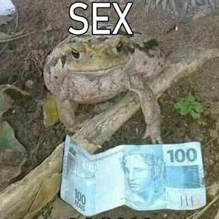 Telegram profile photo for My meme shitpost