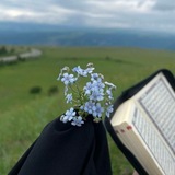 Telegram profile photo for قُطُوفُهَا دَانِيَةٌ