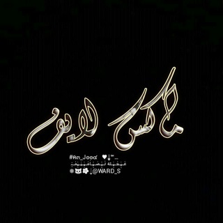 Telegram profile photo for ماكس لايف