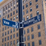Telegram profile photo for Hollywood and Vine