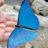 Telegram profile photo for فراشـــة الــ🦋ـروح