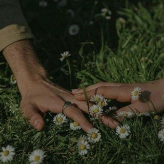 Telegram profile photo for 🍃☘حس ناب☘🍃