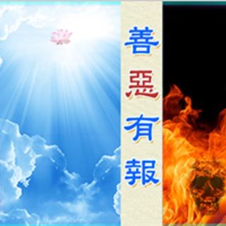 Telegram profile photo for 善恶因果