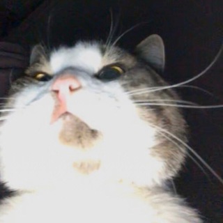 Telegram profile photo for МЕТАКАДЫРОВ