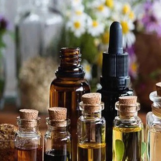 Telegram profile photo for Medicinal plants