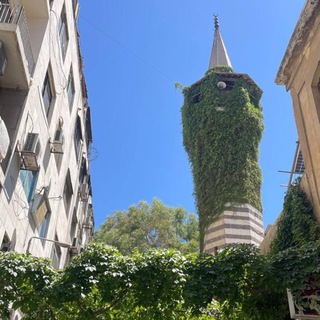 Telegram profile photo for كشكول عبد الله الرّبّاط