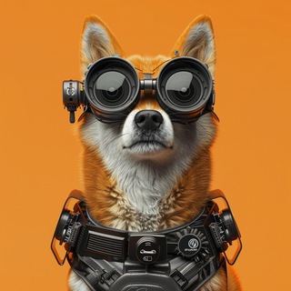 Telegram profile photo for SORADOGE🤖🐕