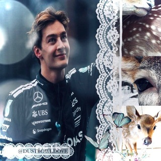 Telegram profile photo for Apricity